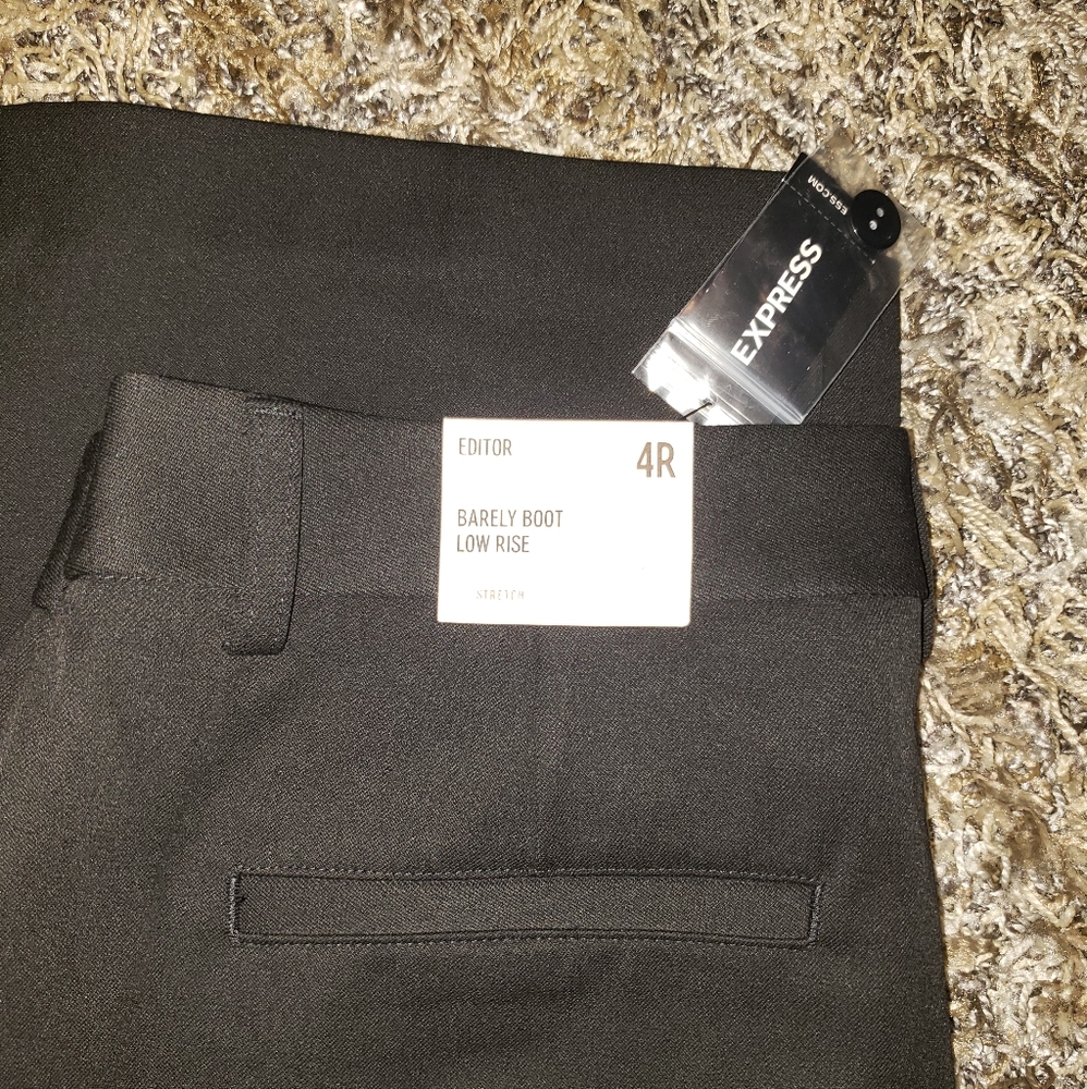 Express Low Rise Pants